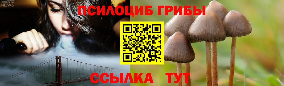Псилоцибиновые грибы мухоморы Кызыл